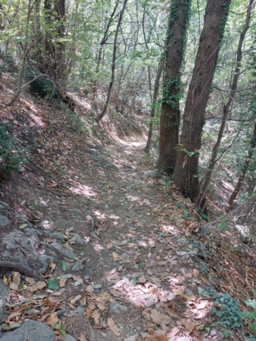 Discesa verso il lago Pistono