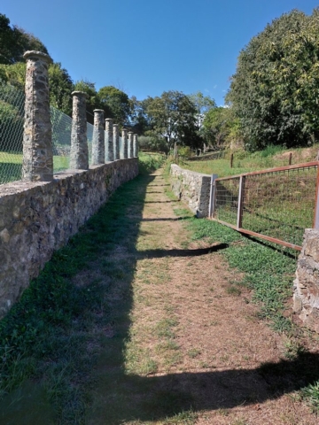 anello lago pistono