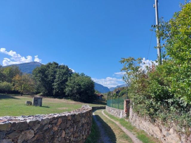 anello lago pistono